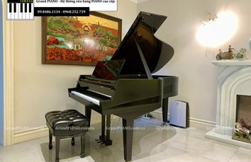 Âm nhạc và nghệ thuật