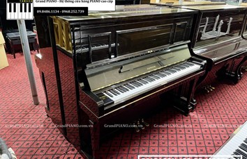 Giới thiệu sản phẩm đàn DIAPASON132BD