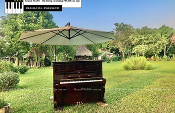 Âm nhạc và không gian yên bình 