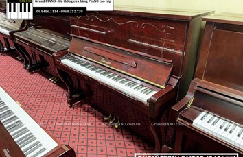 Đàn Piano cơ RUBINSTEIN RM303 (249***) 