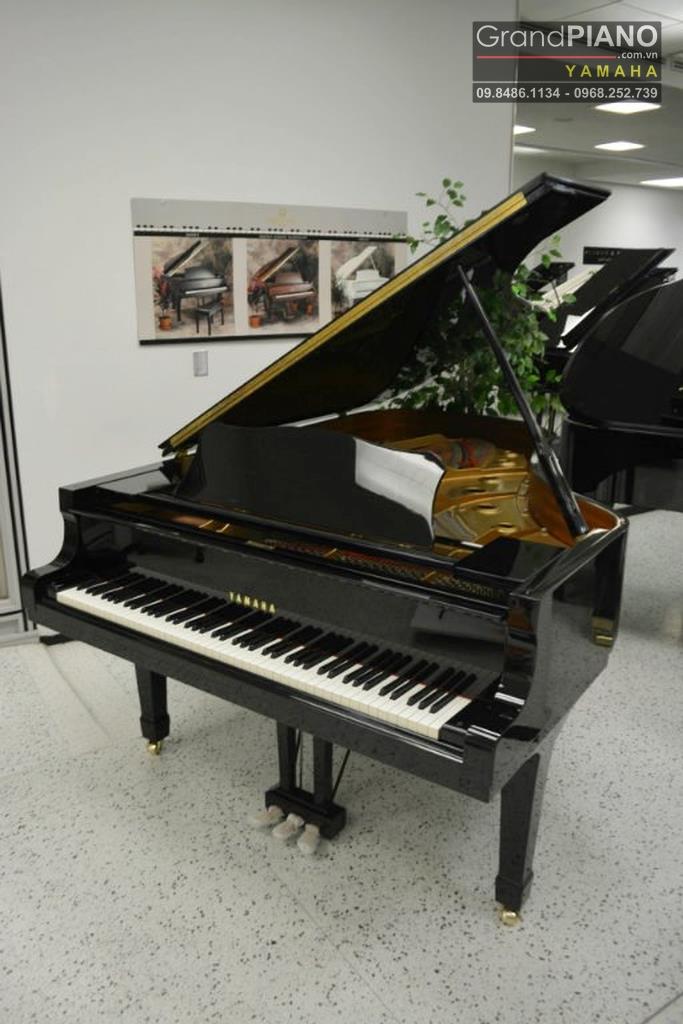 Đàn Piano YAMAHA C5 58210xx