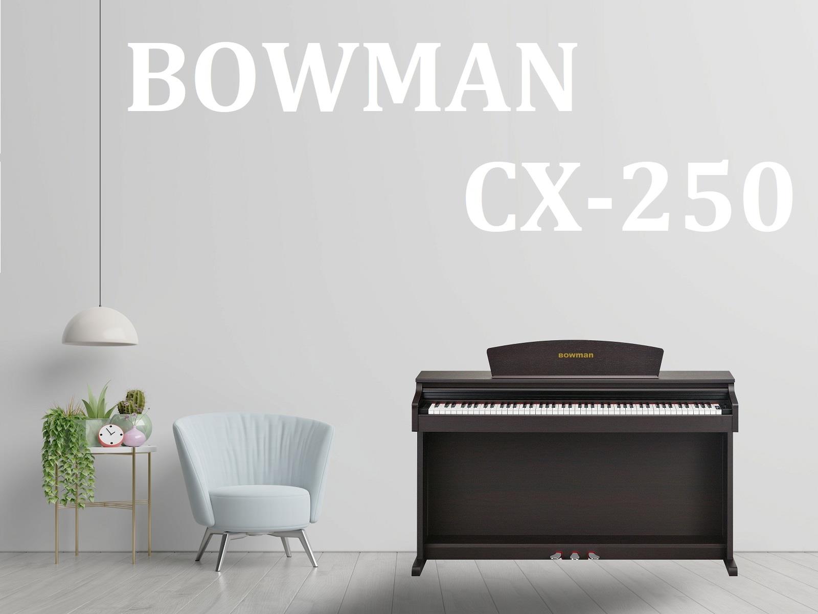 BOWMAN CX-250 SR - MÀU ĐEN