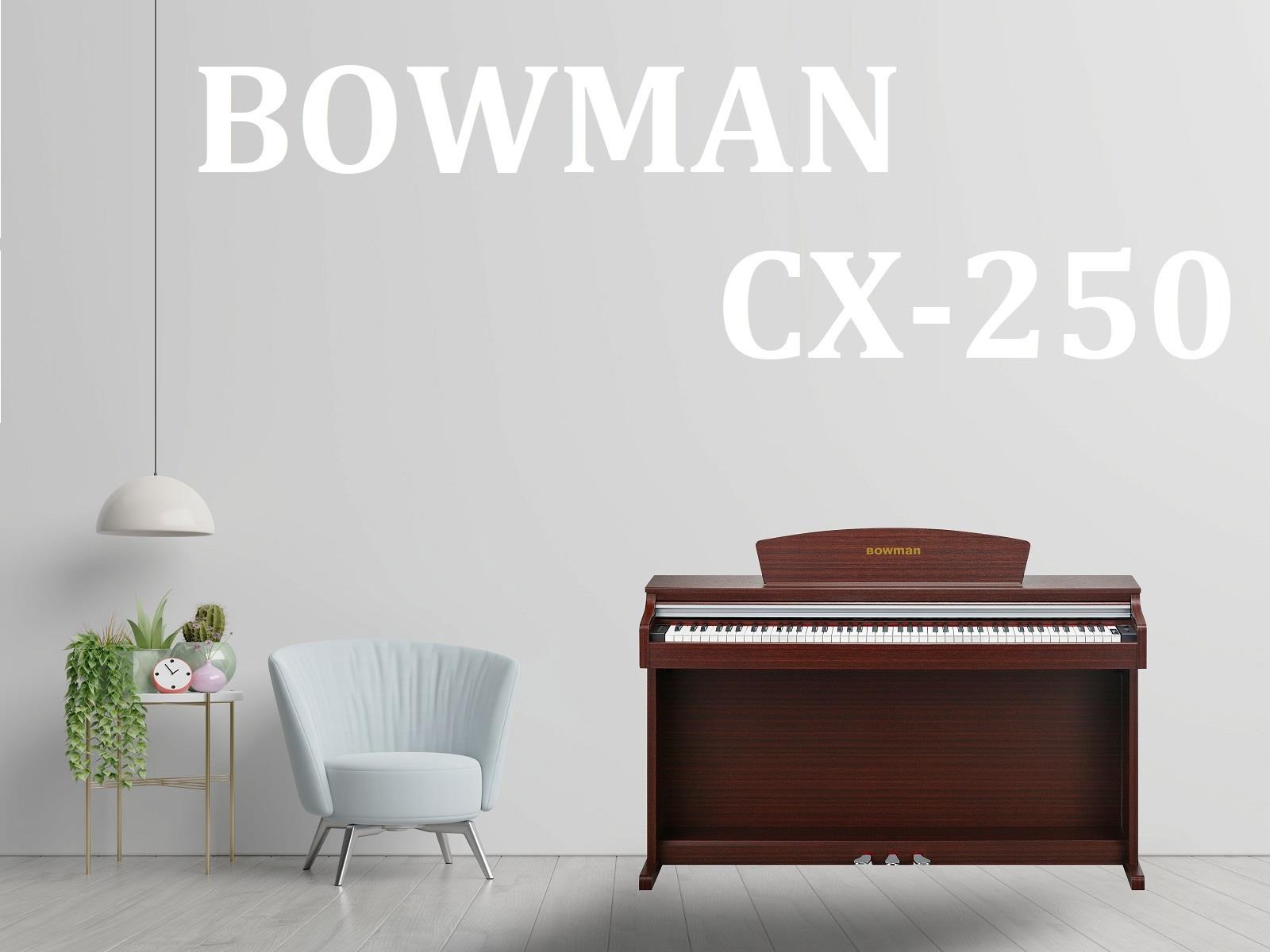 BOWMAN CX-250 BR - MÀU NÂU