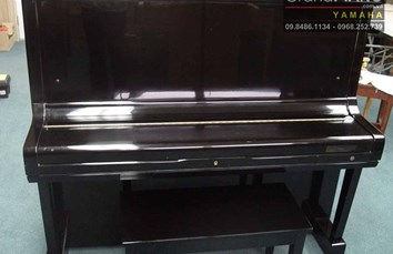 Đàn Piano HORUGEL WG9Bxx