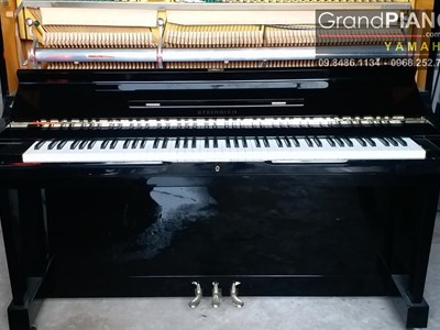 Đàn Piano STEINRICH S64