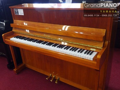 Đàn Piano NIEMEYER 114RP