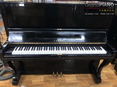 Đàn Piano FOREST FU55