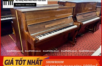 Đàn Piano cơ ROYALE & SONS RS21 105769