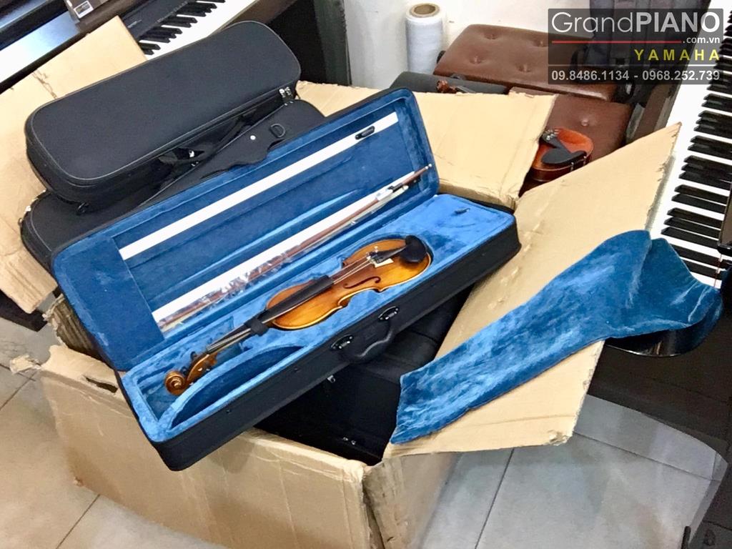 Violin V270