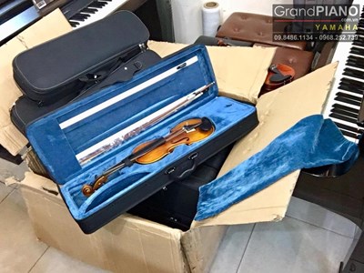 Violin V270