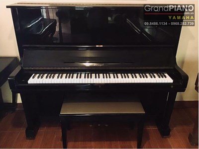 Đàn Piano HORUGEL WG9Bxxx