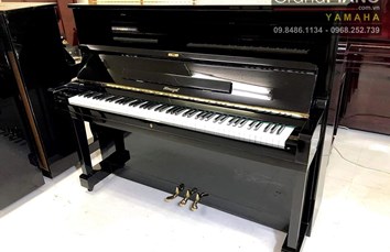 Đàn Piano HORUGEL