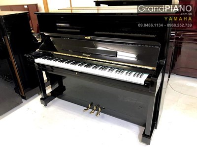 Đàn Piano HORUGEL