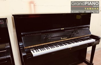Đàn Piano PRUTHNER P2