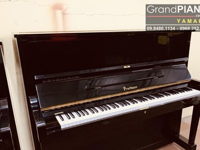 Đàn Piano PRUTHNER P2