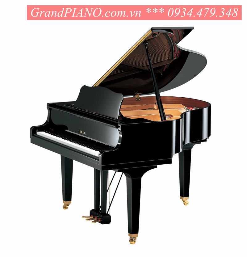 YAMAHA Baby Grand GB1K 