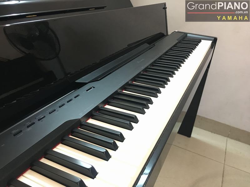 CASIO PX - 830 (13 - 15,5tr) 