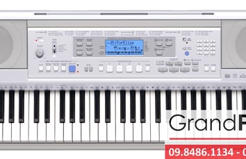 Đàn Organ Casio CTK-810IN 