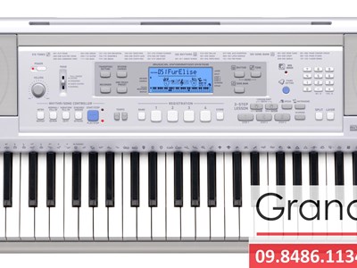 Đàn Organ Casio CTK-810IN 