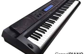 Đàn Organ Casio WK-500 