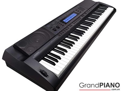 Đàn Organ Casio WK-500 