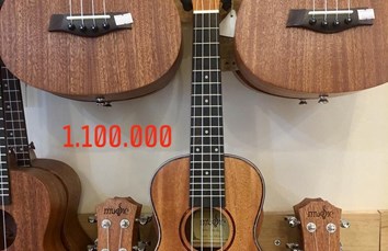 Đàn Ukulele Music size 23" - 1 - 1.100.000 