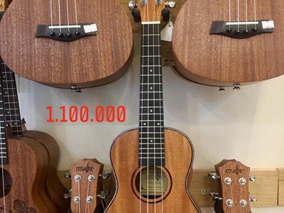 Đàn Ukulele Music size 23" - 1 - 1.100.000 