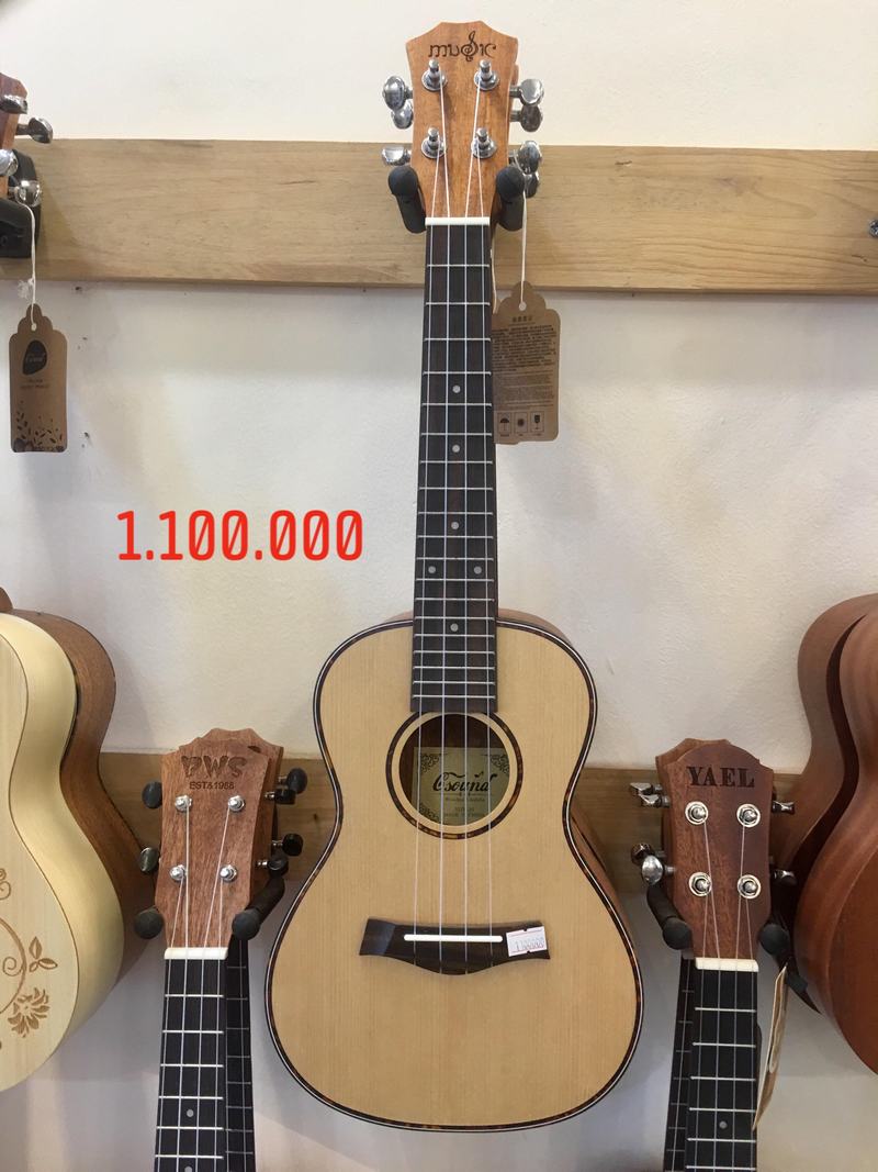 Đàn Ukulele Music size 23" 1.100.000 
