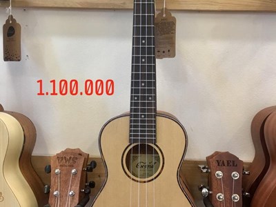 Đàn Ukulele Music size 23" 1.100.000 