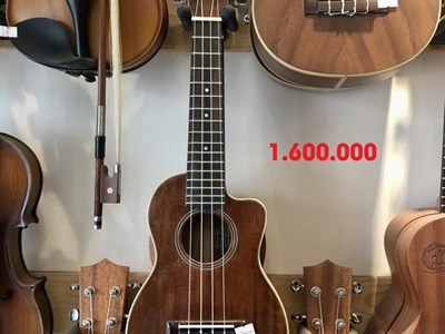 Đàn Ukulele size 21" - 1 - 1.600.000 