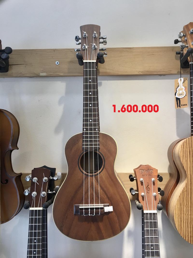 Đàn Ukulele size 21" - 2 - 1.600.000 