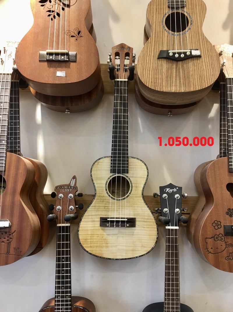 Đàn Ukulele size 23" - 1 - 1.050.000 