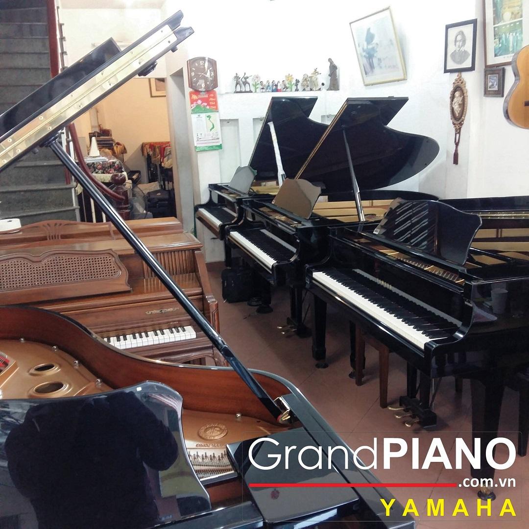 YAMAHA G3E (Grand PIANO) 