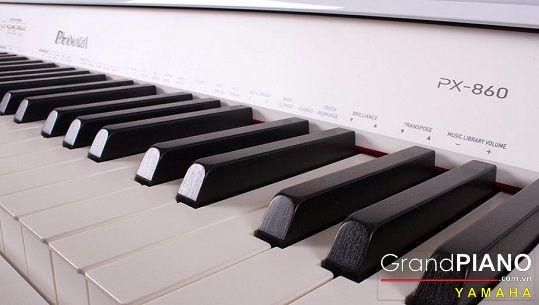 CASIO PX-860 White 