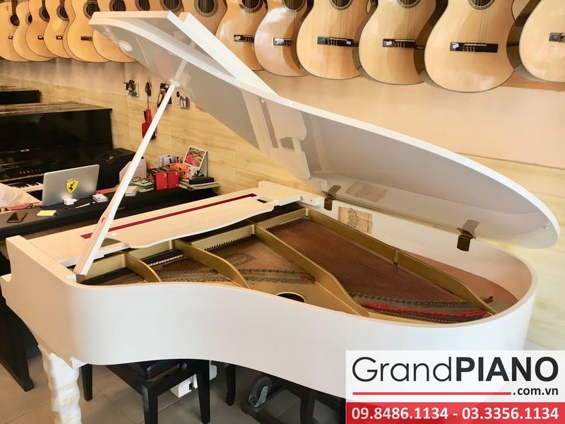 YAMAHA G3E SERI: 2990302 ✅ 