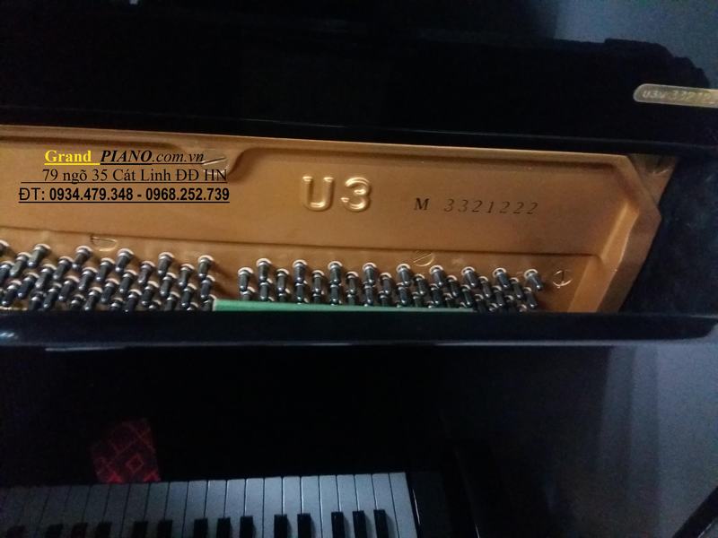 Yamaha U3M (3444614) 
