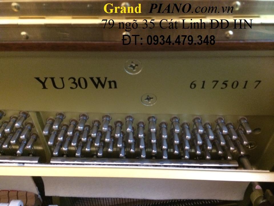 YAMAHA Yu30Wn 