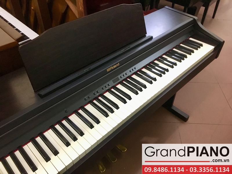 ROLAND RP-501 