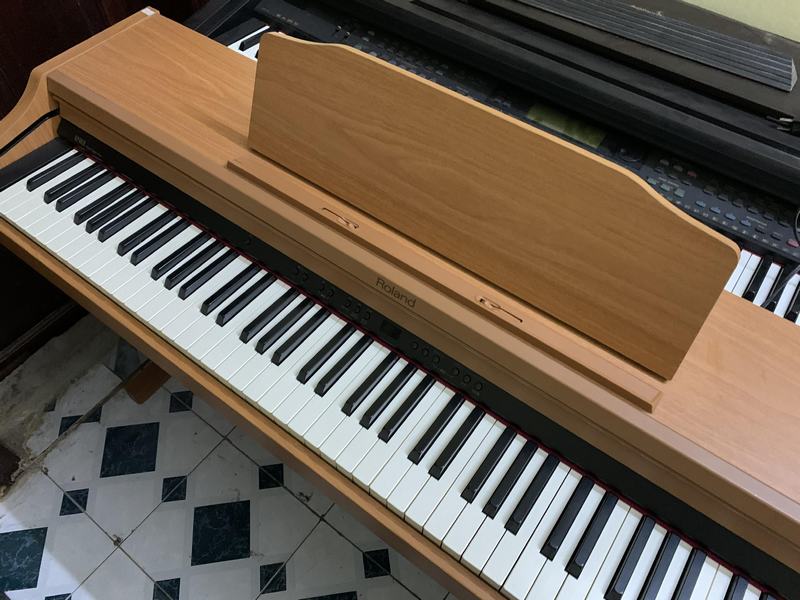 Roland RP-401 