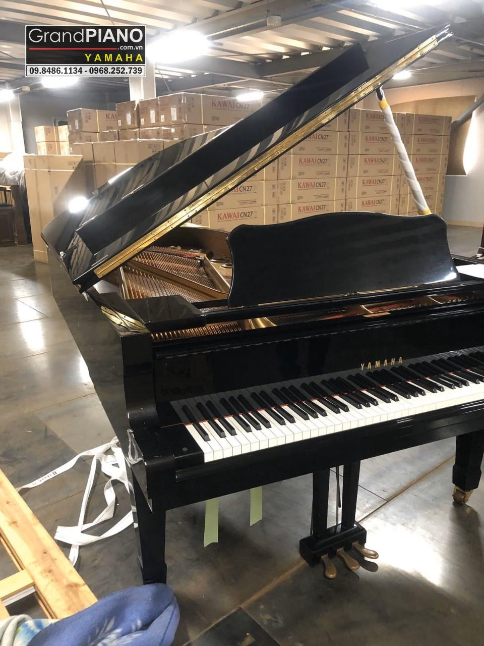 YAMAHA C7 FI SERI : 5161875 ✅ 