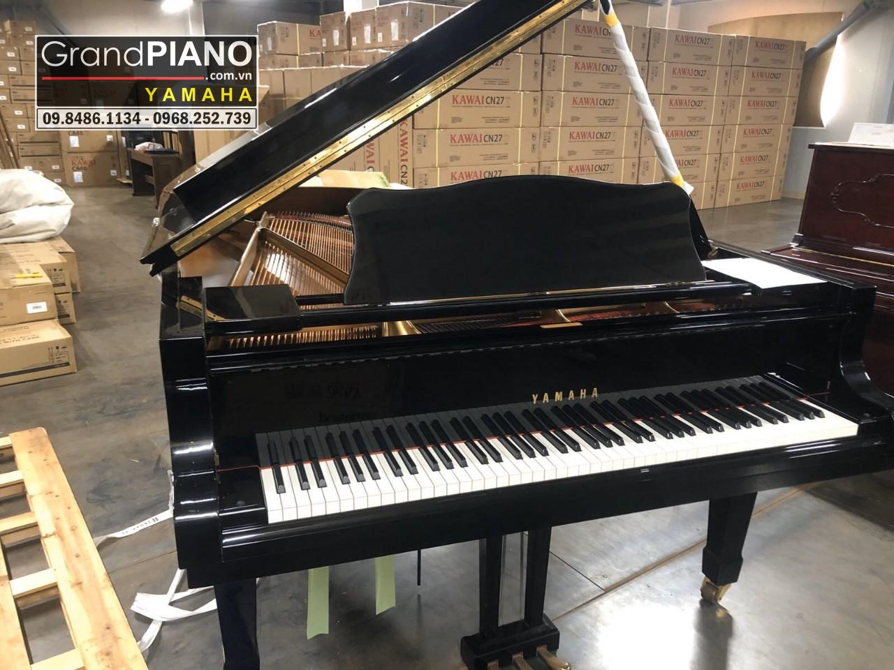 YAMAHA C7B SERI : 4861389 ✅ 