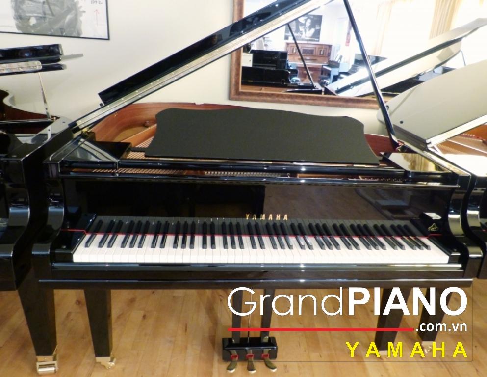 YAMAHA GC1 
