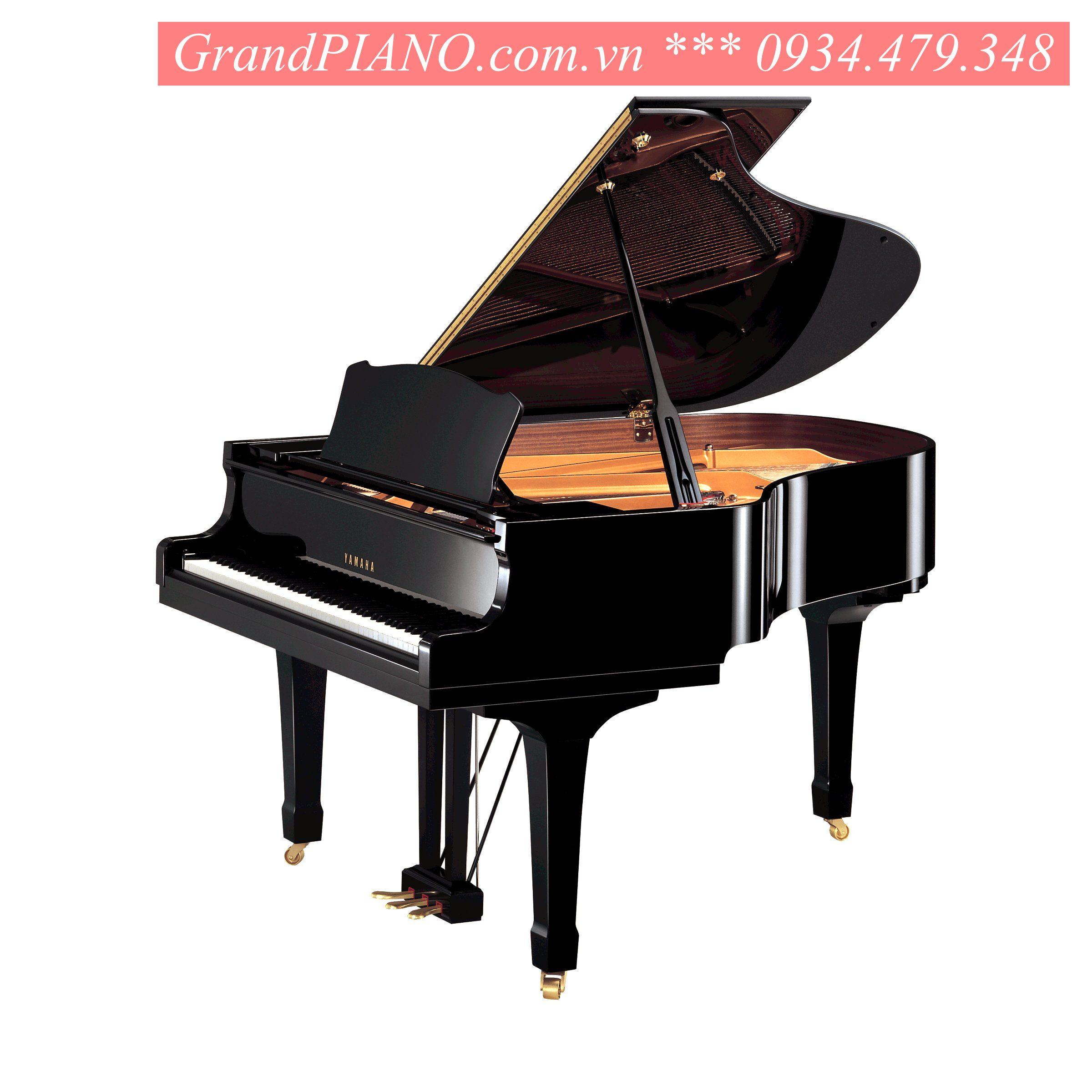 YAMAHA C2 
