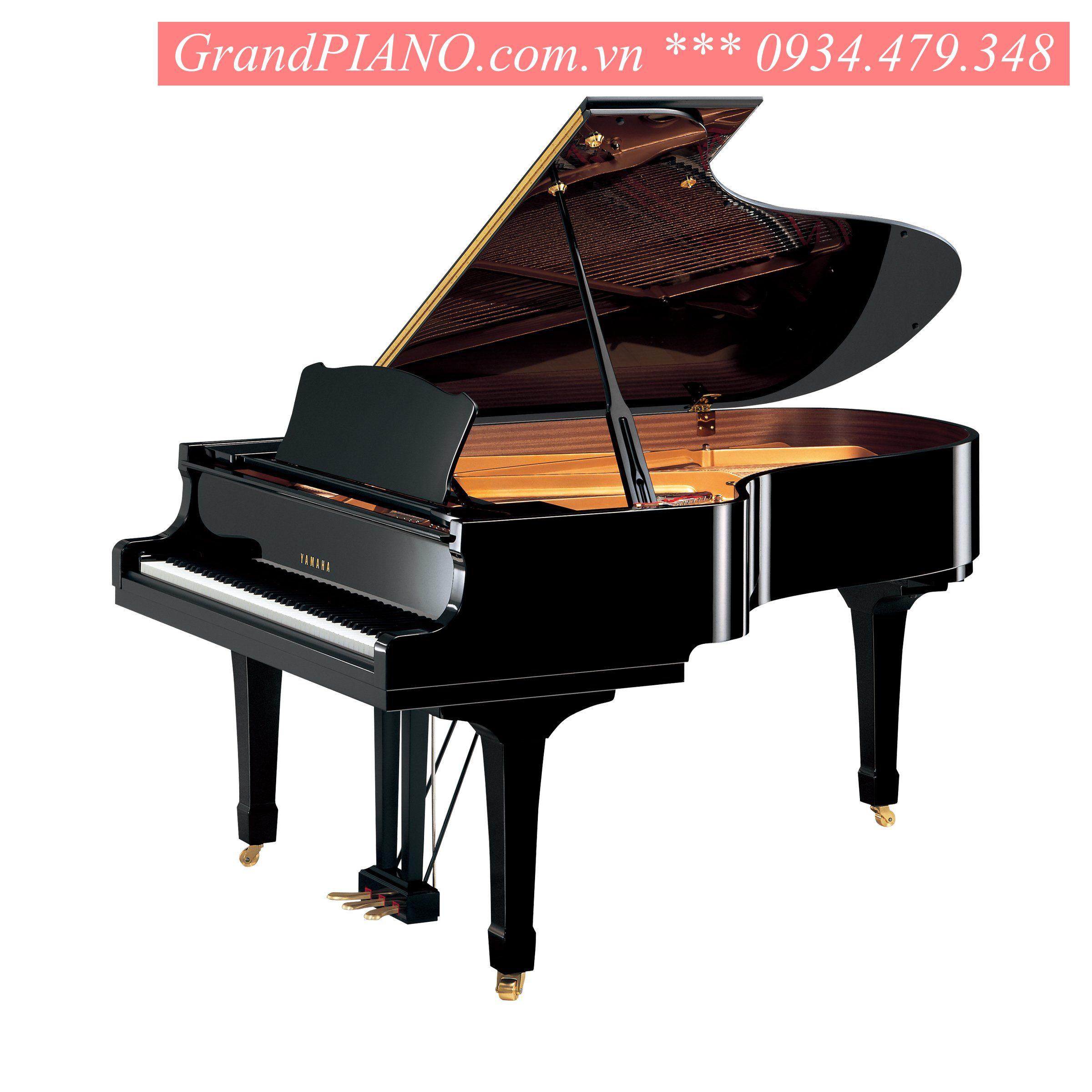 YAMAHA C5 