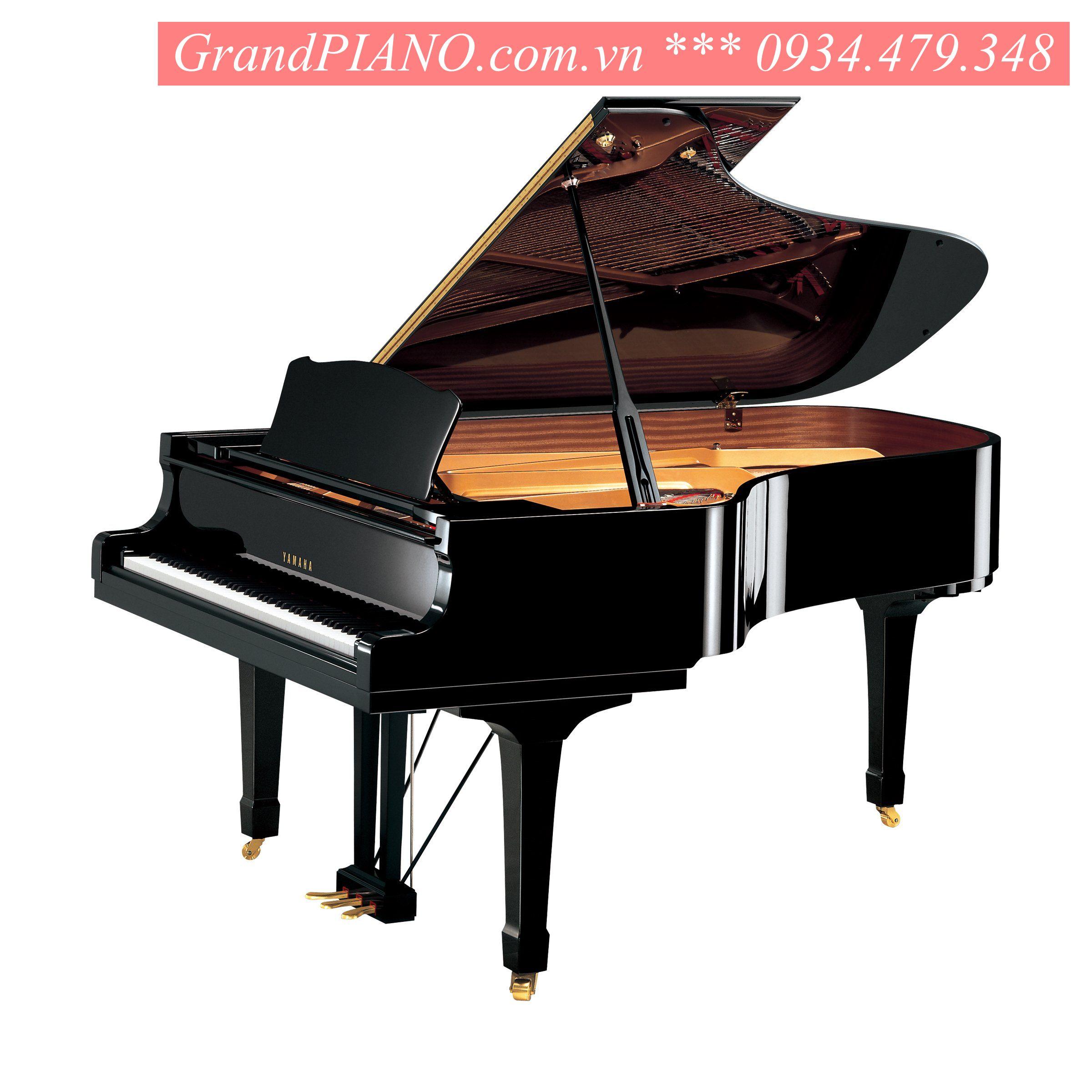 YAMAHA C6 