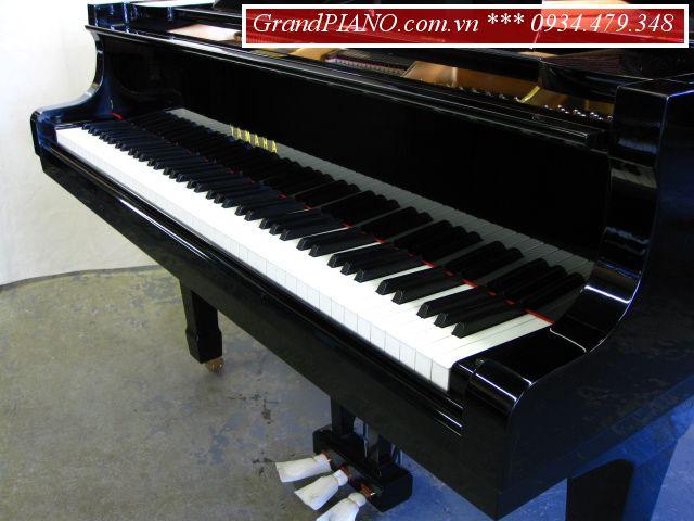 YAMAHA G3B 