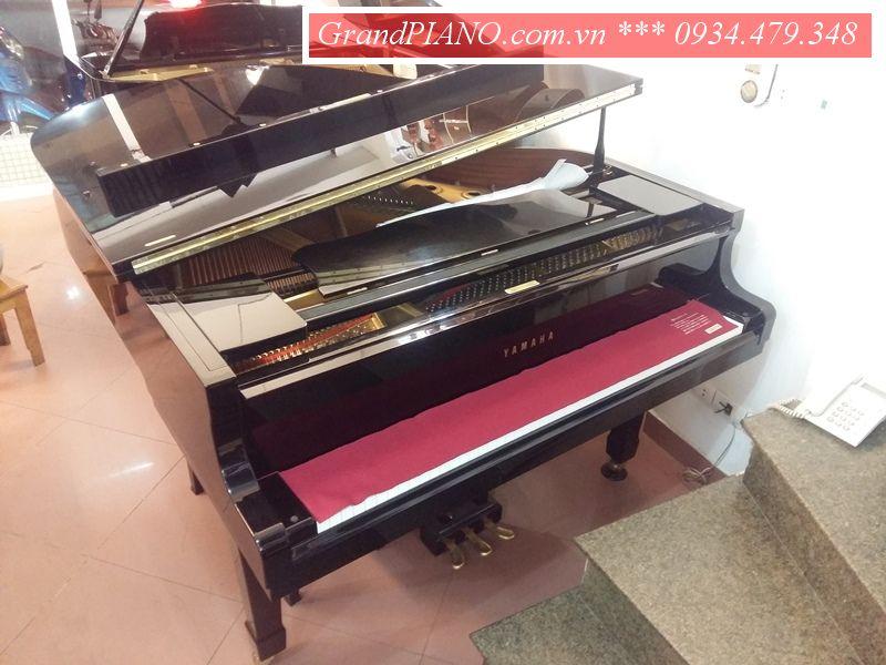 YAMAHA G3E SERI : 5100029 ✅ 