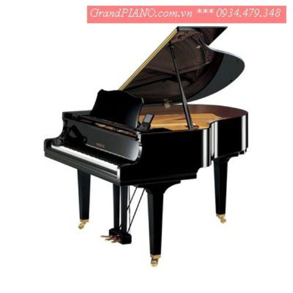 Yamaha G2 