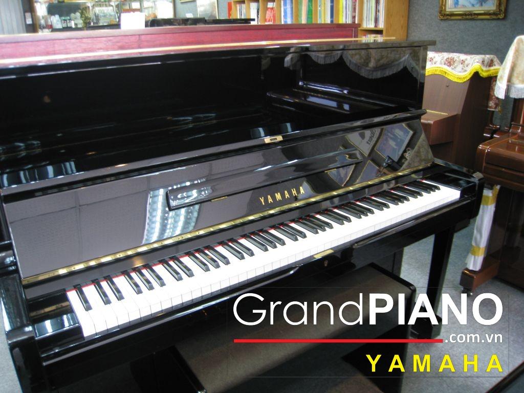 Yamaha U1G 