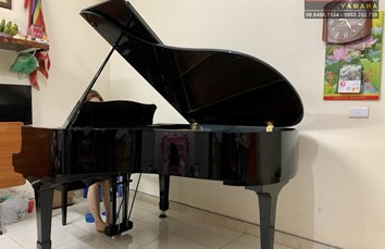 Grand Piano Yamaha 